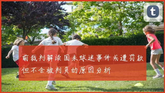 前裁判解读国米球迷事件或遭罚款但不会被判负的原因分析